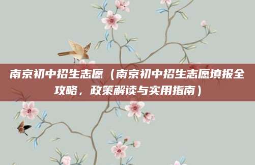 南京初中招生志愿（南京初中招生志愿填报全攻略，政策解读与实用指南）