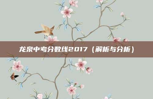 龙泉中考分数线2017（解析与分析）