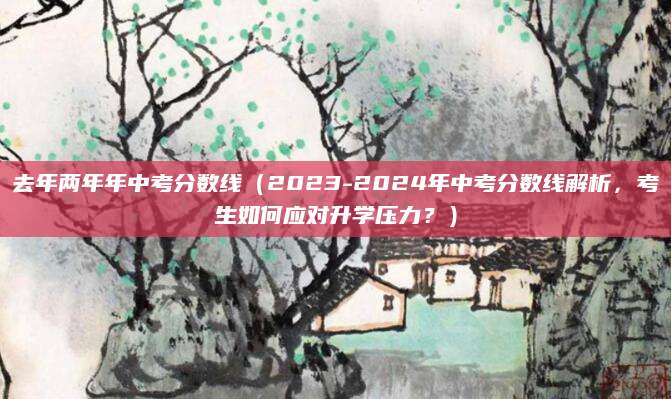 去年两年年中考分数线（2023-2024年中考分数线解析，考生如何应对升学压力？）