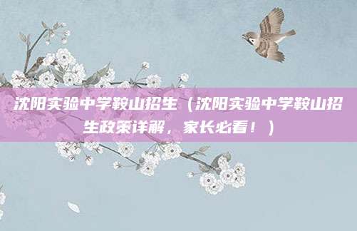 沈阳实验中学鞍山招生（沈阳实验中学鞍山招生政策详解，家长必看！）