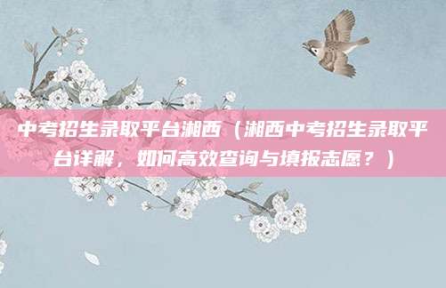 中考招生录取平台湘西（湘西中考招生录取平台详解，如何高效查询与填报志愿？）