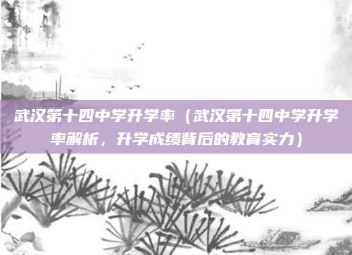武汉第十四中学升学率（武汉第十四中学升学率解析，升学成绩背后的教育实力）