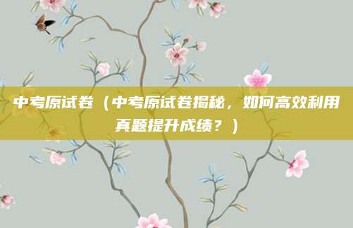 中考原试卷（中考原试卷揭秘，如何高效利用真题提升成绩？）