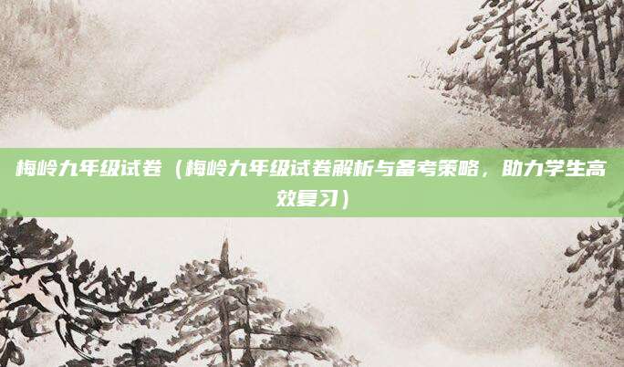 梅岭九年级试卷（梅岭九年级试卷解析与备考策略，助力学生高效复习）