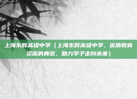 上海东辉高级中学（上海东辉高级中学，优质教育资源的典范，助力学子走向未来）