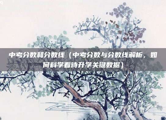 中考分数和分数线（中考分数与分数线解析，如何科学看待升学关键数据）
