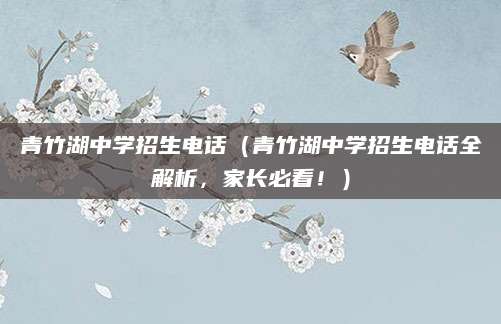 青竹湖中学招生电话（青竹湖中学招生电话全解析，家长必看！）