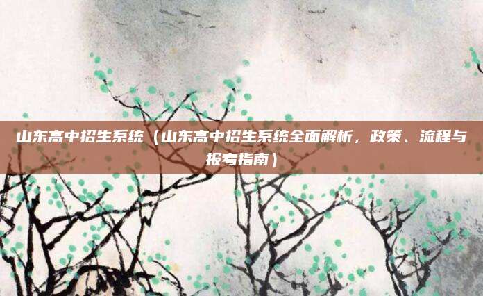山东高中招生系统（山东高中招生系统全面解析，政策、流程与报考指南）