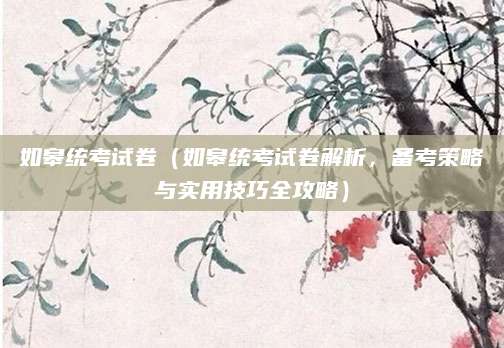 如皋统考试卷（如皋统考试卷解析，备考策略与实用技巧全攻略）