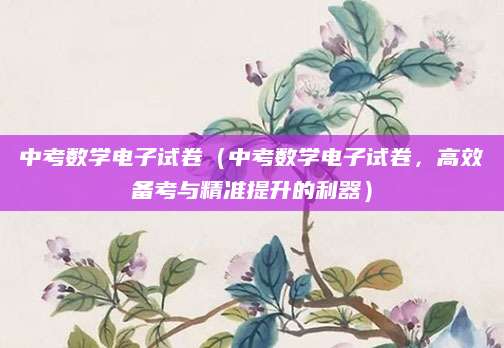 中考数学电子试卷（中考数学电子试卷，高效备考与精准提升的利器）