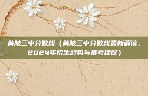 黄陂三中分数线（黄陂三中分数线最新解读，2024年招生趋势与备考建议）