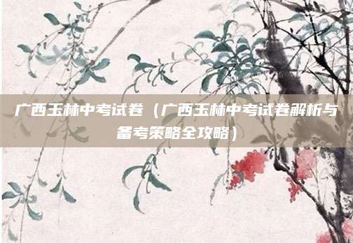 广西玉林中考试卷（广西玉林中考试卷解析与备考策略全攻略）