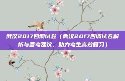 武汉2017四调试卷（武汉2017四调试卷解析与备考建议，助力考生高效复习）