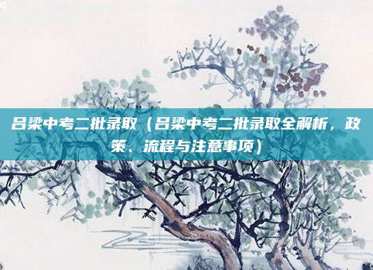 吕梁中考二批录取（吕梁中考二批录取全解析，政策、流程与注意事项）