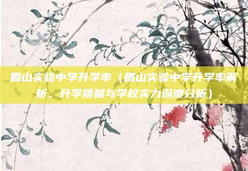 眉山实验中学升学率（眉山实验中学升学率解析，升学质量与学校实力深度分析）