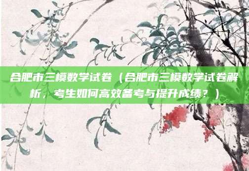 合肥市三模数学试卷（合肥市三模数学试卷解析，考生如何高效备考与提升成绩？）