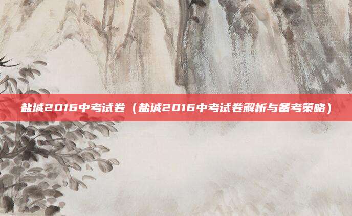 盐城2016中考试卷（盐城2016中考试卷解析与备考策略）