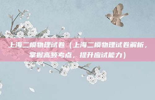 上海二模物理试卷（上海二模物理试卷解析，掌握高频考点，提升应试能力）