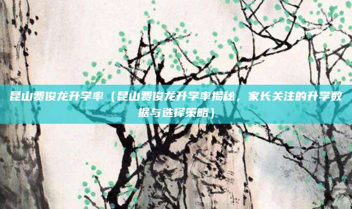 昆山费俊龙升学率（昆山费俊龙升学率揭秘，家长关注的升学数据与选择策略）