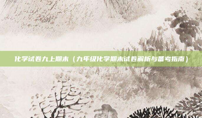 化学试卷九上期末（九年级化学期末试卷解析与备考指南）