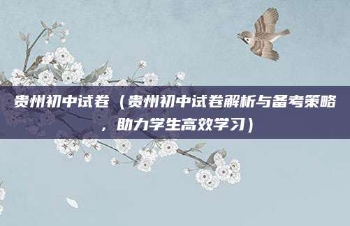 贵州初中试卷（贵州初中试卷解析与备考策略，助力学生高效学习）