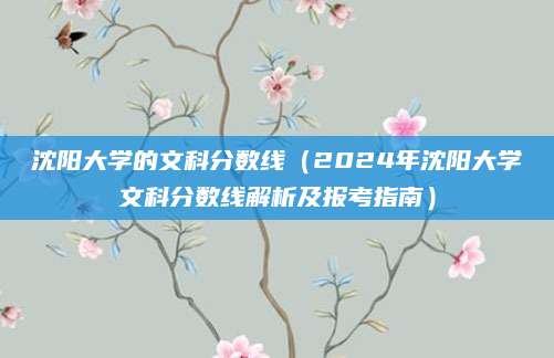 沈阳大学的文科分数线（2024年沈阳大学文科分数线解析及报考指南）