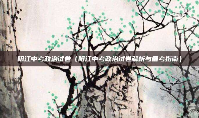 阳江中考政治试卷（阳江中考政治试卷解析与备考指南）