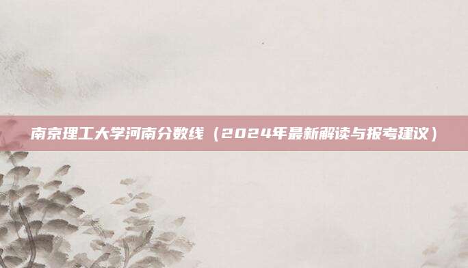 南京理工大学河南分数线（2024年最新解读与报考建议）