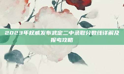 2023年权威发布武定二中录取分数线详解及报考攻略