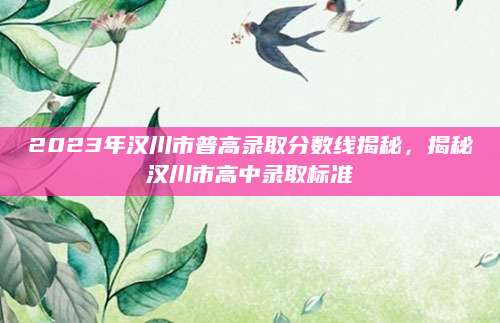 2023年汉川市普高录取分数线揭秘，揭秘汉川市高中录取标准