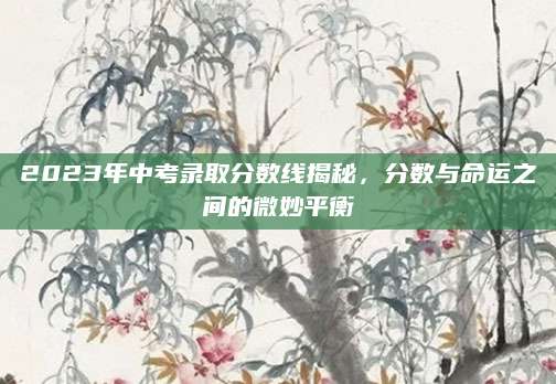 2023年中考录取分数线揭秘，分数与命运之间的微妙平衡