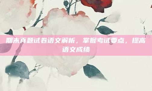 期末真题试卷语文解析，掌握考试要点，提高语文成绩