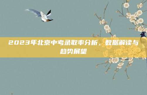 2023年北京中考录取率分析，数据解读与趋势展望