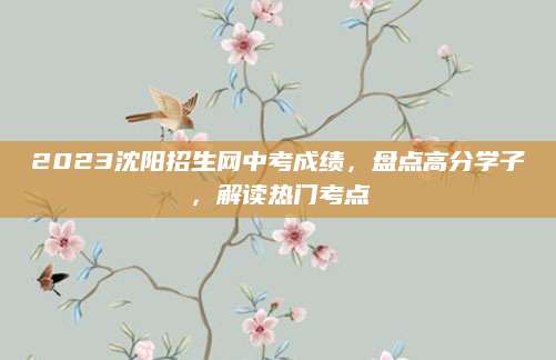 2023沈阳招生网中考成绩，盘点高分学子，解读热门考点