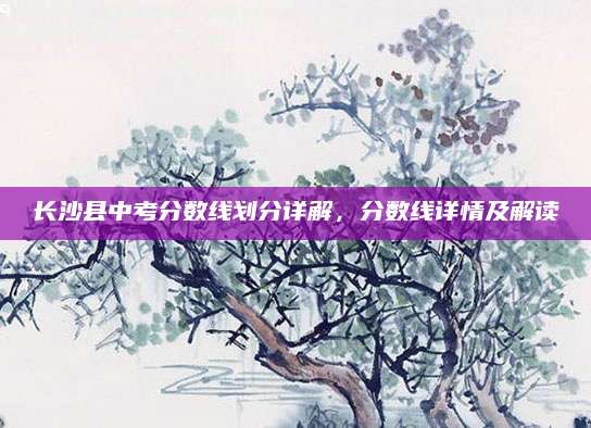 长沙县中考分数线划分详解，分数线详情及解读