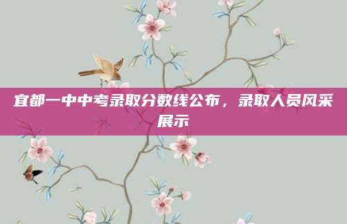 宜都一中中考录取分数线公布，录取人员风采展示