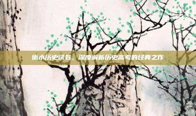 衡水历史试卷，深度解析历史高考的经典之作