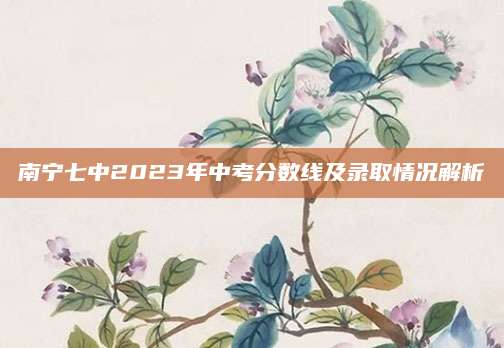 南宁七中2023年中考分数线及录取情况解析