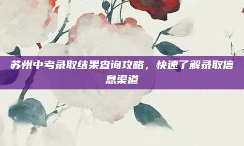 苏州中考录取结果查询攻略，快速了解录取信息渠道