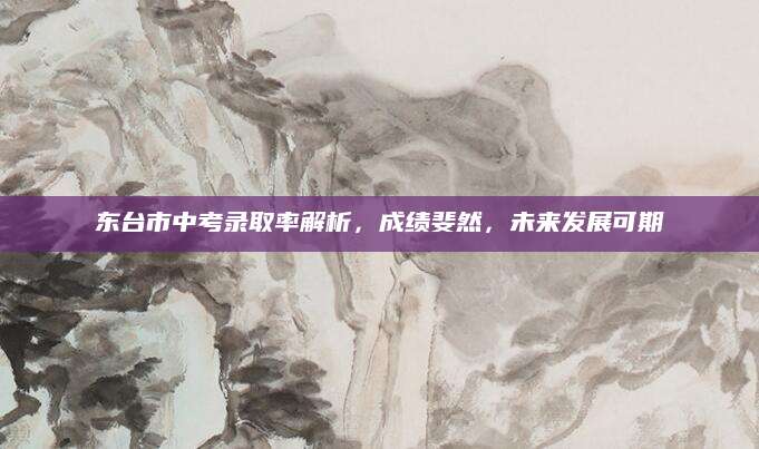 东台市中考录取率解析，成绩斐然，未来发展可期