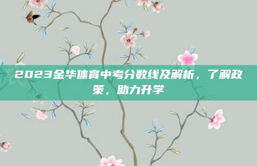 2023金华体育中考分数线及解析，了解政策，助力升学
