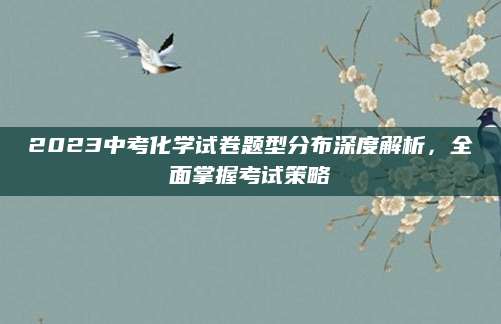 2023中考化学试卷题型分布深度解析，全面掌握考试策略
