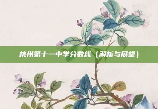 杭州第十一中学分数线（解析与展望）
