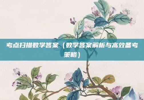 考点扫描数学答案（数学答案解析与高效备考策略）