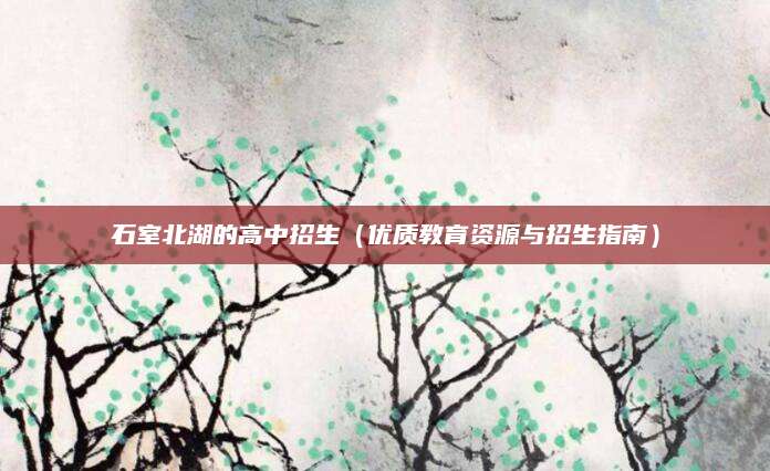 石室北湖的高中招生（优质教育资源与招生指南）