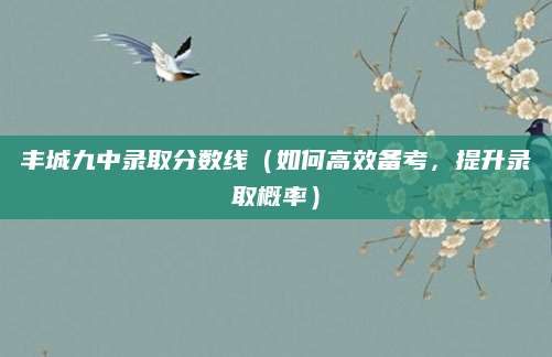丰城九中录取分数线（如何高效备考，提升录取概率）