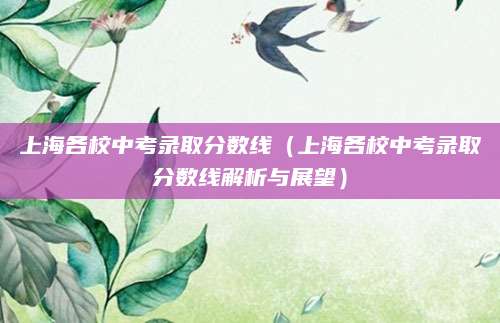 上海各校中考录取分数线（上海各校中考录取分数线解析与展望）