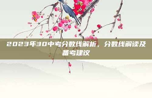 2023年30中考分数线解析，分数线解读及备考建议