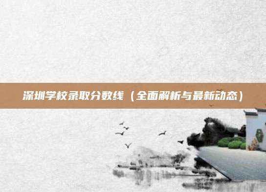 深圳学校录取分数线（全面解析与最新动态）