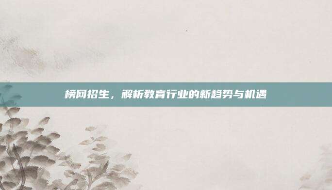 榜网招生，解析教育行业的新趋势与机遇